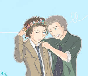 Destiel: Flower crown