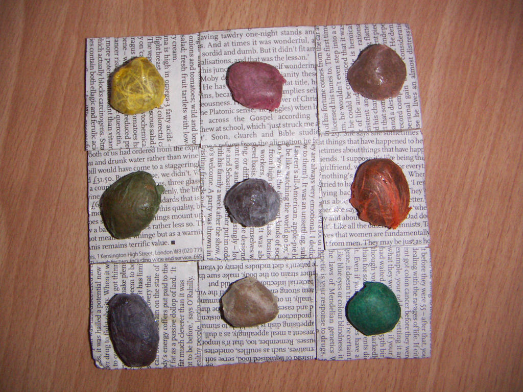 Pibble Collage Pebble Collage by ChloeMorris on DeviantArt