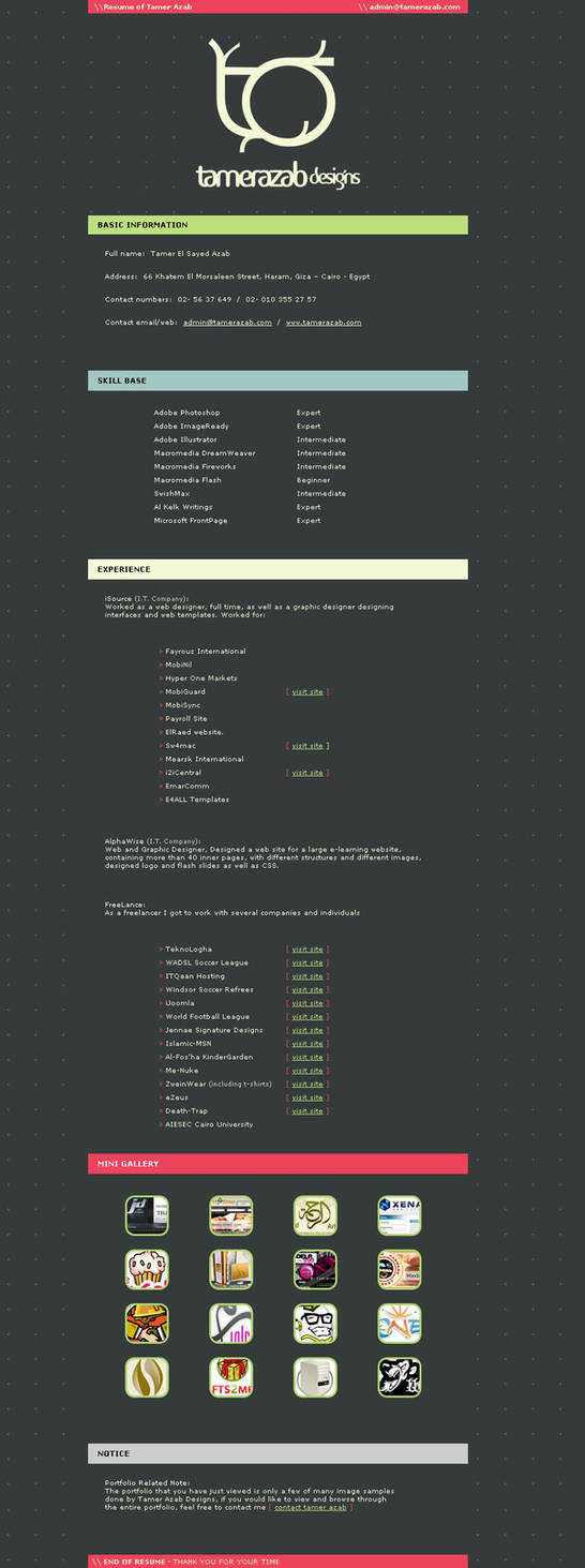 TamerAzab: Resume by t4m3r
