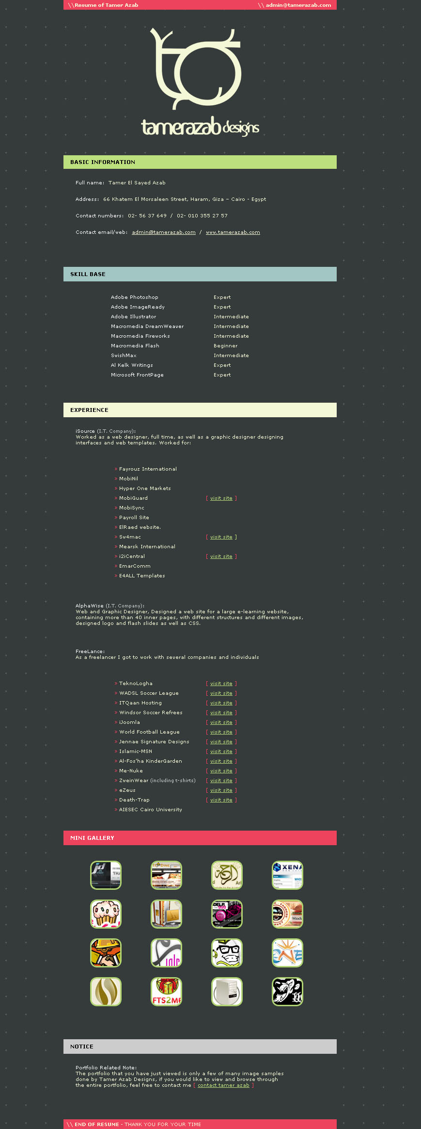 TamerAzab: Resume by t4m3r
