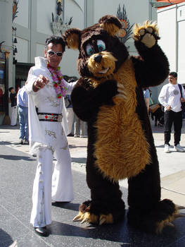 Fursuiting Hollywood Boulevard July 9, 2003