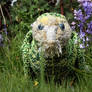 Kakapo in the garden