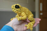 Golden poison dart frog by Soggy-Wolfie