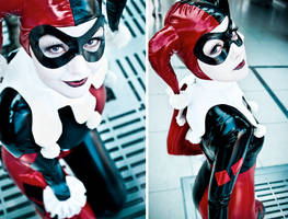 Harley Quinn - Gotham Siren