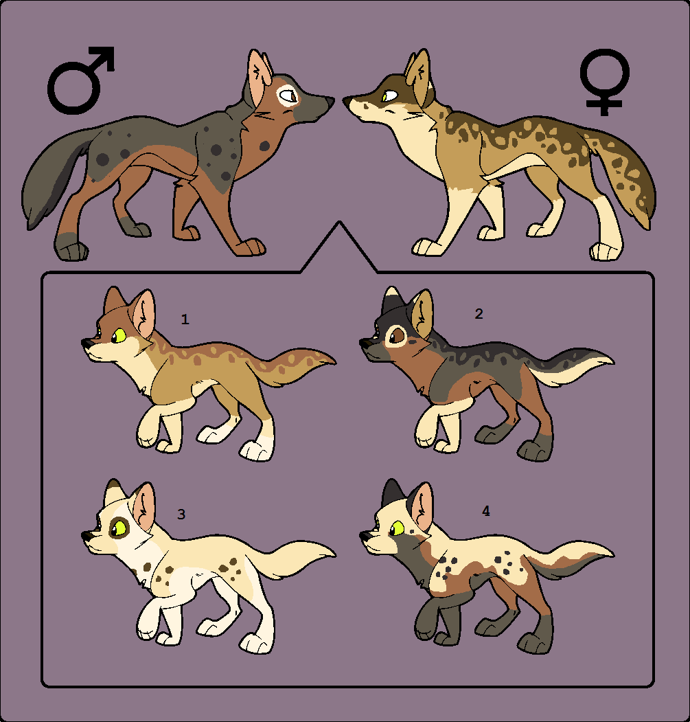 Adoptables 39