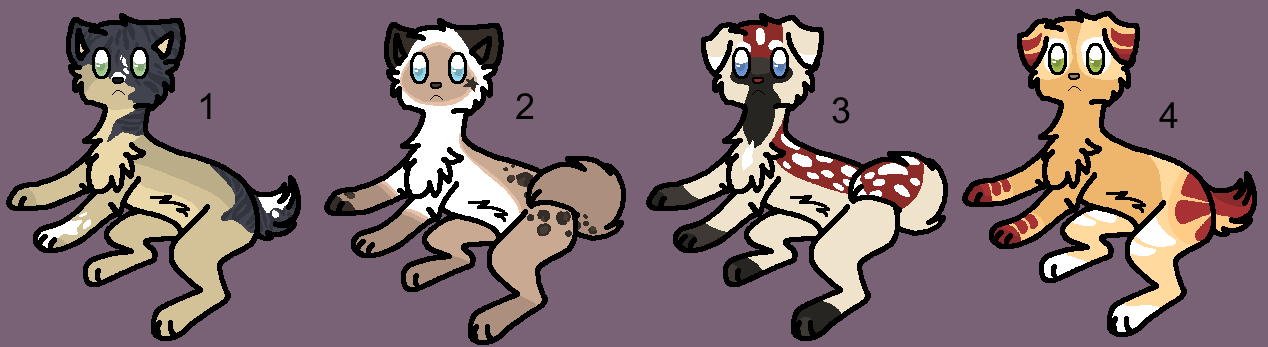 Adoptables 46