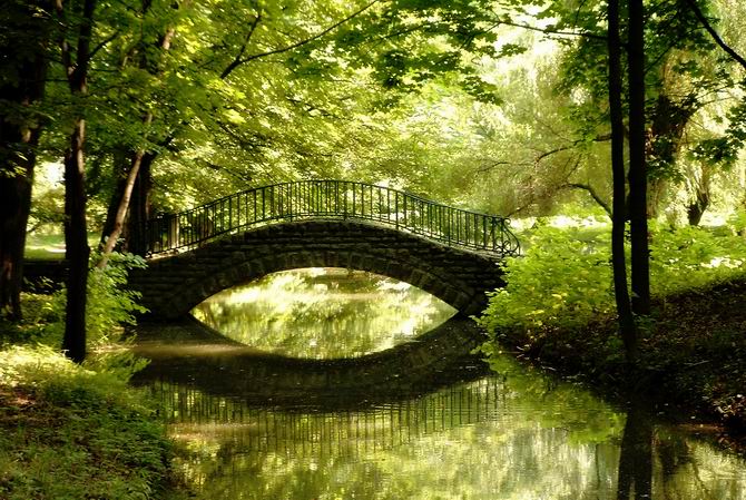 Bridge in a park