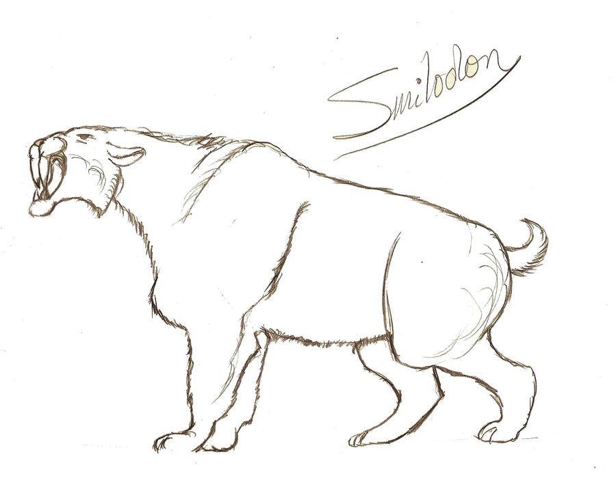 Smilodon