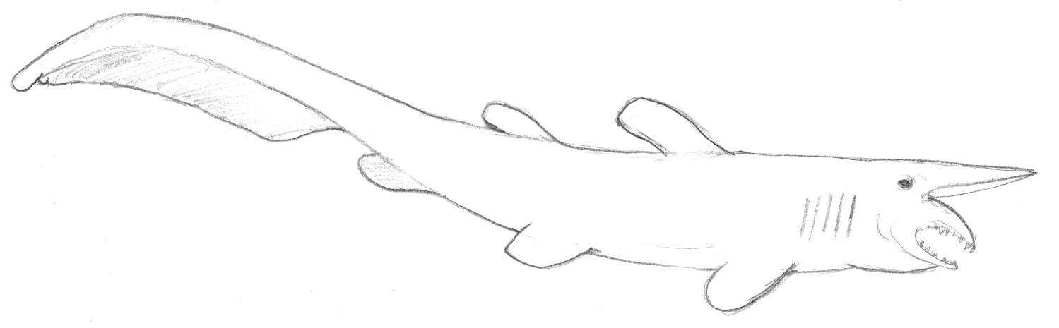 How To Draw A Goblin Step By Step How To Draw A Goblin Step By Step