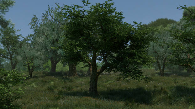 Small forest scene (Blender)