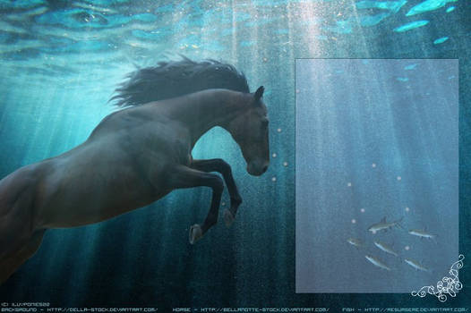 Underwater Horse