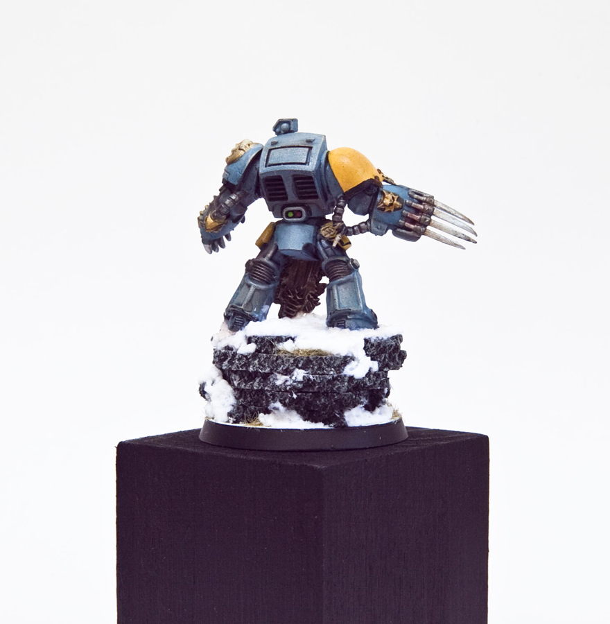 Space Wolf Terminator