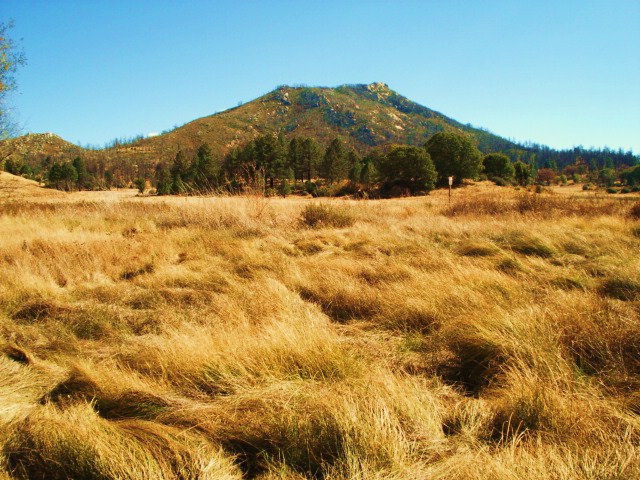 The Hills and the YellowPlains