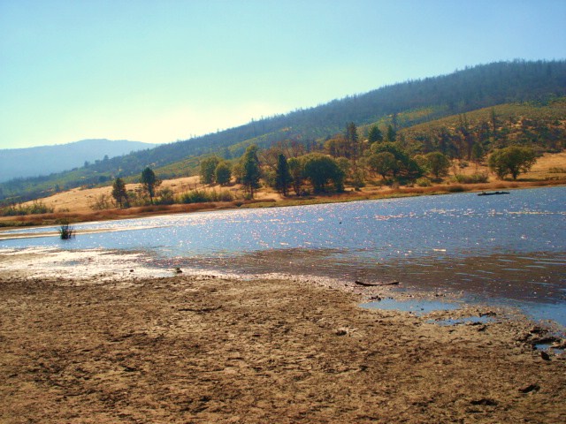 The Lake's Shore