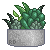 +|F2U|+ Succulent Terrarium Avatar