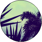 sout florda sout florda