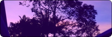 dcujwmd-1d8bd8fd-4319-47a3-aa3a-09f10f61
