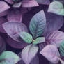 |F2U| Purple Leaves Custom Background 2