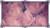 الغرفة الثانية _f2u__pink_flowers_stamp_by_raridecor_dcxtayv-fullview.png?token=eyJ0eXAiOiJKV1QiLCJhbGciOiJIUzI1NiJ9.eyJzdWIiOiJ1cm46YXBwOjdlMGQxODg5ODIyNjQzNzNhNWYwZDQxNWVhMGQyNmUwIiwiaXNzIjoidXJuOmFwcDo3ZTBkMTg4OTgyMjY0MzczYTVmMGQ0MTVlYTBkMjZlMCIsIm9iaiI6W1t7ImhlaWdodCI6Ijw9NTYiLCJwYXRoIjoiXC9mXC8xMzkyZjJlMy1kMjE0LTQ0MGQtOGE5Ny02NWUxZDZmNWE0NjBcL2RjeHRheXYtYzJmYmZjYTQtMWQzNi00ZmFkLWIxYTctNDRjZTAxNDdkZjQ2LnBuZyIsIndpZHRoIjoiPD05OSJ9XV0sImF1ZCI6WyJ1cm46c2VydmljZTppbWFnZS5vcGVyYXRpb25zIl19
