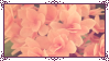 الغرفة الثانية _f2u__pink_flowers_stamp_by_raridecor_dcy8pp0-fullview.png?token=eyJ0eXAiOiJKV1QiLCJhbGciOiJIUzI1NiJ9.eyJzdWIiOiJ1cm46YXBwOjdlMGQxODg5ODIyNjQzNzNhNWYwZDQxNWVhMGQyNmUwIiwiaXNzIjoidXJuOmFwcDo3ZTBkMTg4OTgyMjY0MzczYTVmMGQ0MTVlYTBkMjZlMCIsIm9iaiI6W1t7ImhlaWdodCI6Ijw9NTYiLCJwYXRoIjoiXC9mXC8xMzkyZjJlMy1kMjE0LTQ0MGQtOGE5Ny02NWUxZDZmNWE0NjBcL2RjeThwcDAtMmU5NWU1ZGUtNTcyMS00ZjlkLTgxZjMtN2U5MDEyNjQyYThiLnBuZyIsIndpZHRoIjoiPD05OSJ9XV0sImF1ZCI6WyJ1cm46c2VydmljZTppbWFnZS5vcGVyYXRpb25zIl19