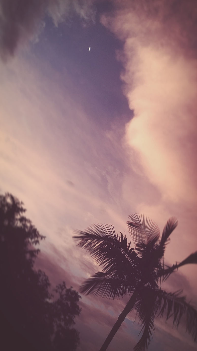 {F2U} Pink grunge custom background by RariDecor