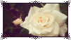 الغرفة الثانية _f2u__white_flowers_stamp_by_raridecor_dczvsra-fullview.png?token=eyJ0eXAiOiJKV1QiLCJhbGciOiJIUzI1NiJ9.eyJzdWIiOiJ1cm46YXBwOjdlMGQxODg5ODIyNjQzNzNhNWYwZDQxNWVhMGQyNmUwIiwiaXNzIjoidXJuOmFwcDo3ZTBkMTg4OTgyMjY0MzczYTVmMGQ0MTVlYTBkMjZlMCIsIm9iaiI6W1t7ImhlaWdodCI6Ijw9NTgiLCJwYXRoIjoiXC9mXC8xMzkyZjJlMy1kMjE0LTQ0MGQtOGE5Ny02NWUxZDZmNWE0NjBcL2RjenZzcmEtZDc0NGVmNTUtM2ViNi00NzdjLWE0YjEtNjNlNjliZTVjYTk2LnBuZyIsIndpZHRoIjoiPD0xMDEifV1dLCJhdWQiOlsidXJuOnNlcnZpY2U6aW1hZ2Uub3BlcmF0aW9ucyJdfQ