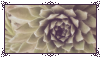 الغرفة الثانية _f2u__pastel_aes__stamp_by_raridecor_dd2puad-fullview.png?token=eyJ0eXAiOiJKV1QiLCJhbGciOiJIUzI1NiJ9.eyJzdWIiOiJ1cm46YXBwOjdlMGQxODg5ODIyNjQzNzNhNWYwZDQxNWVhMGQyNmUwIiwiaXNzIjoidXJuOmFwcDo3ZTBkMTg4OTgyMjY0MzczYTVmMGQ0MTVlYTBkMjZlMCIsIm9iaiI6W1t7ImhlaWdodCI6Ijw9NTgiLCJwYXRoIjoiXC9mXC8xMzkyZjJlMy1kMjE0LTQ0MGQtOGE5Ny02NWUxZDZmNWE0NjBcL2RkMnB1YWQtMzkzZjMyMTEtMzg1MS00NzIxLWJlMWUtNzVlYzFmODZiOTgxLnBuZyIsIndpZHRoIjoiPD0xMDEifV1dLCJhdWQiOlsidXJuOnNlcnZpY2U6aW1hZ2Uub3BlcmF0aW9ucyJdfQ