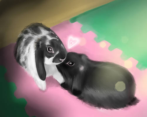 bunny`s love