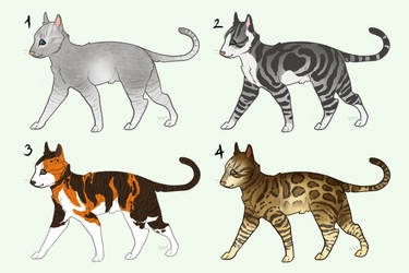 Cat Adopts - 200 points [2/4 open]