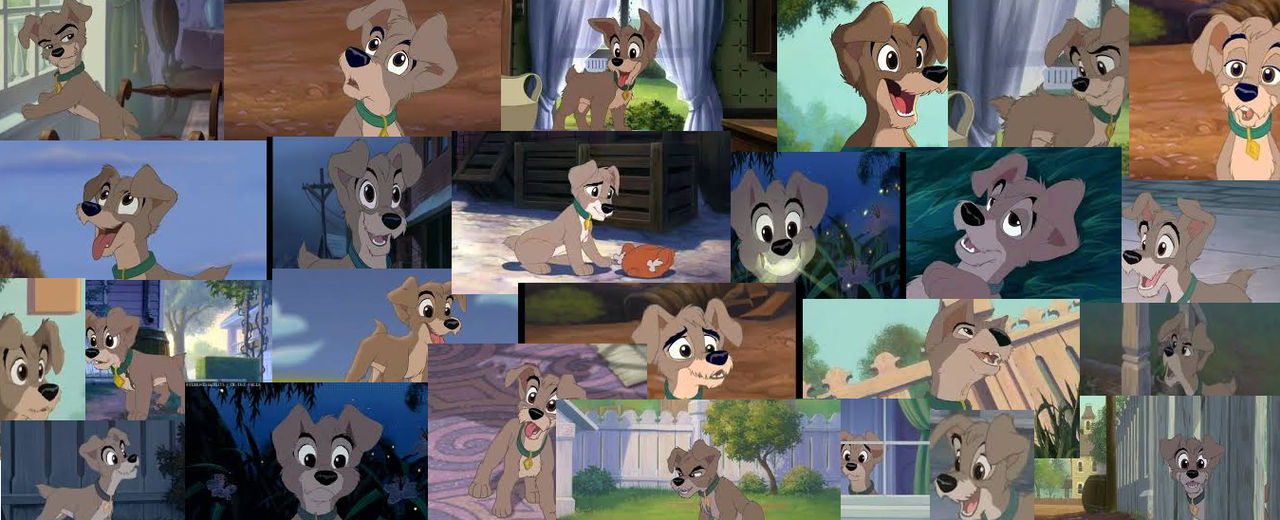 Scamp collage by DaniellePuppyAllStar on DeviantArt