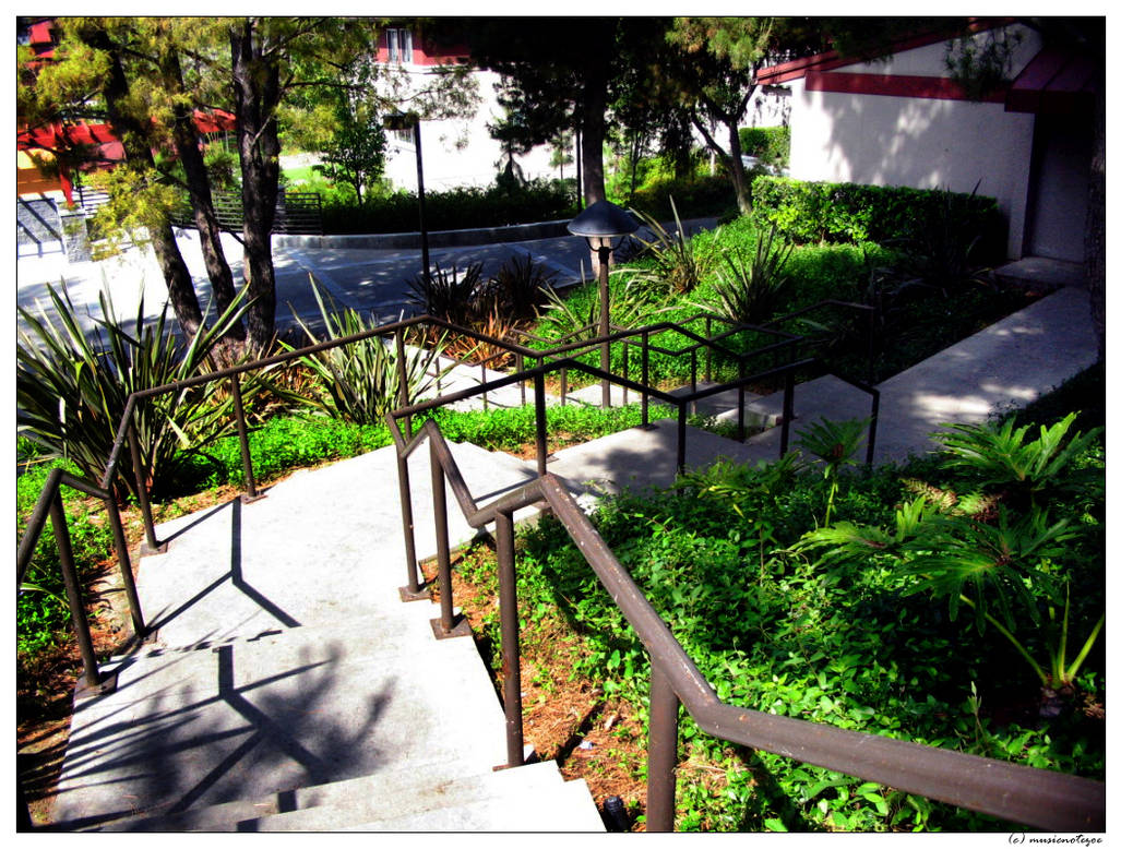 Path - colour by musicnotezoe on DeviantArt