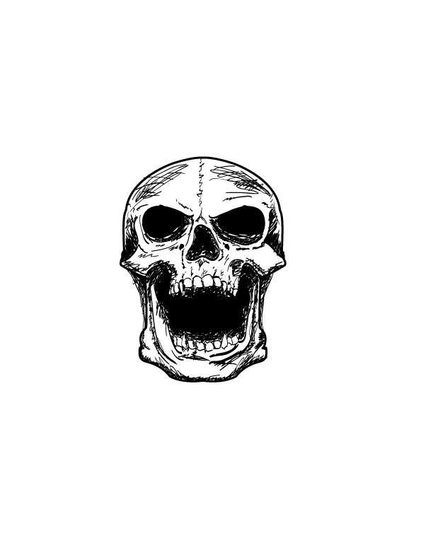 Skull