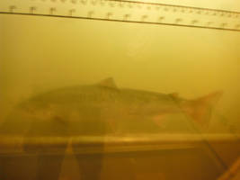 Just good time in a country! 44