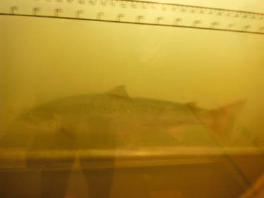 Just good time in a country! 44