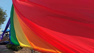 Fierte de la diversite 1