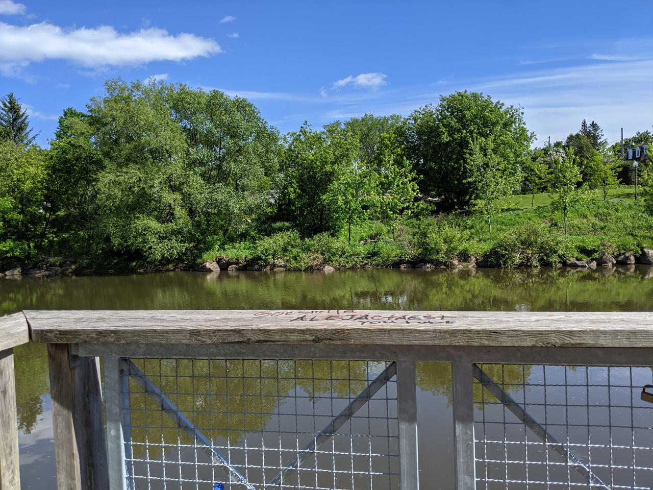 A moment of pure happiness