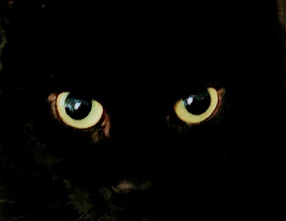 Les yeux de la nuit