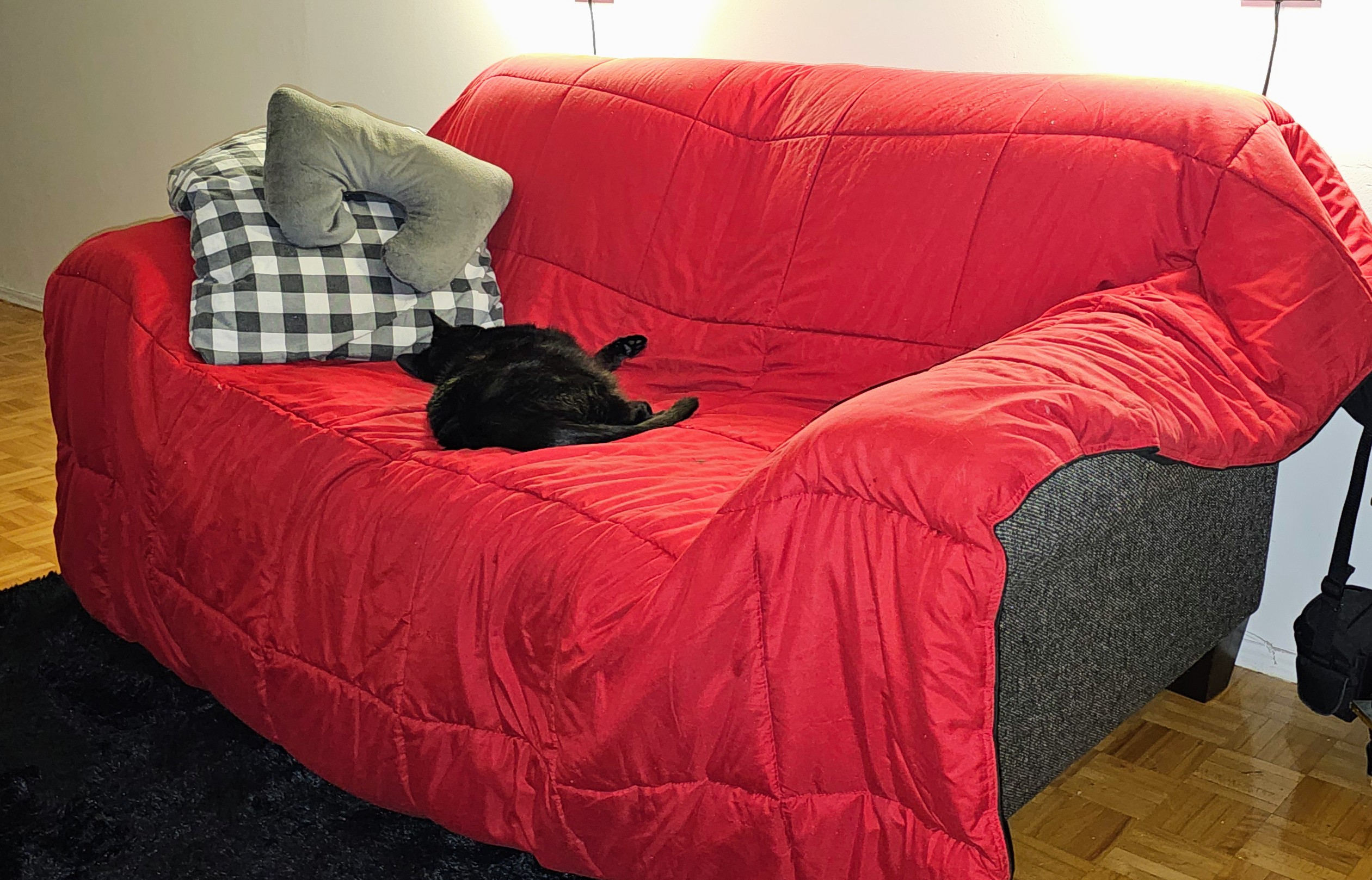 I loooooove black cats