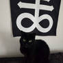 One of my Black Cats Her name is Copine