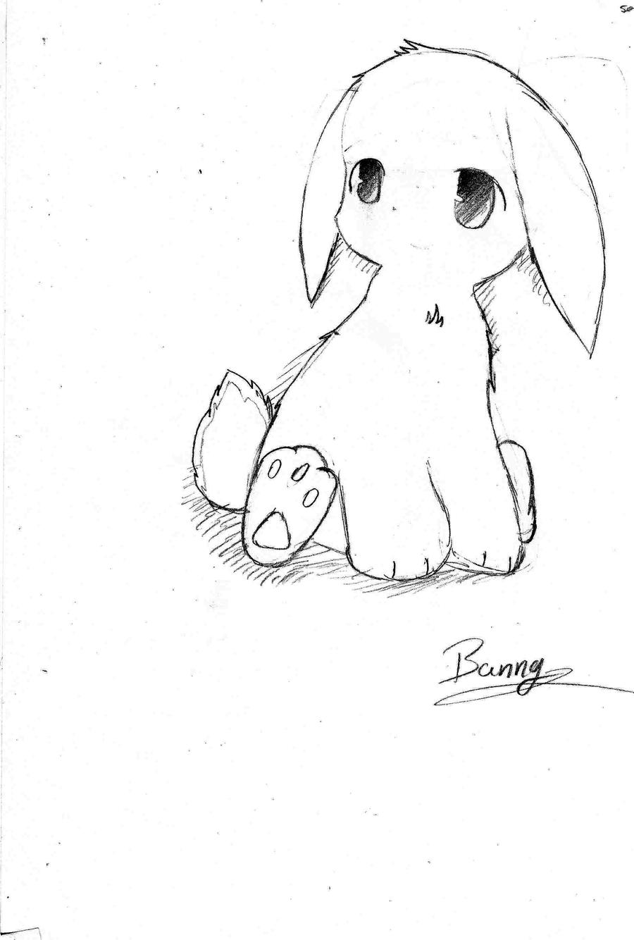 Bunny