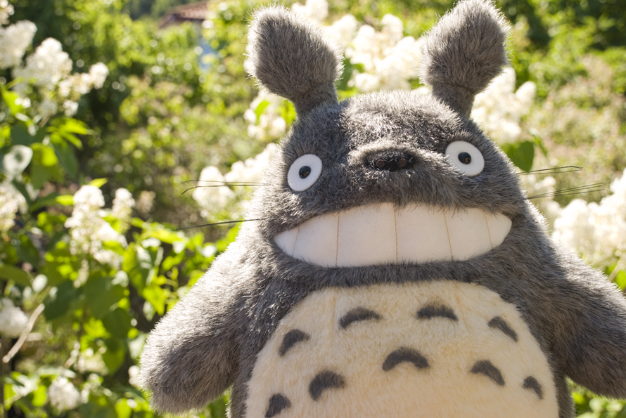 The adventures of Totoro