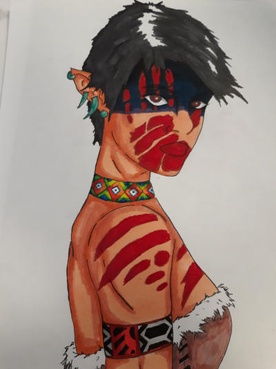 First nation inspired elf