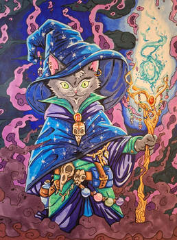Wizard Kitty