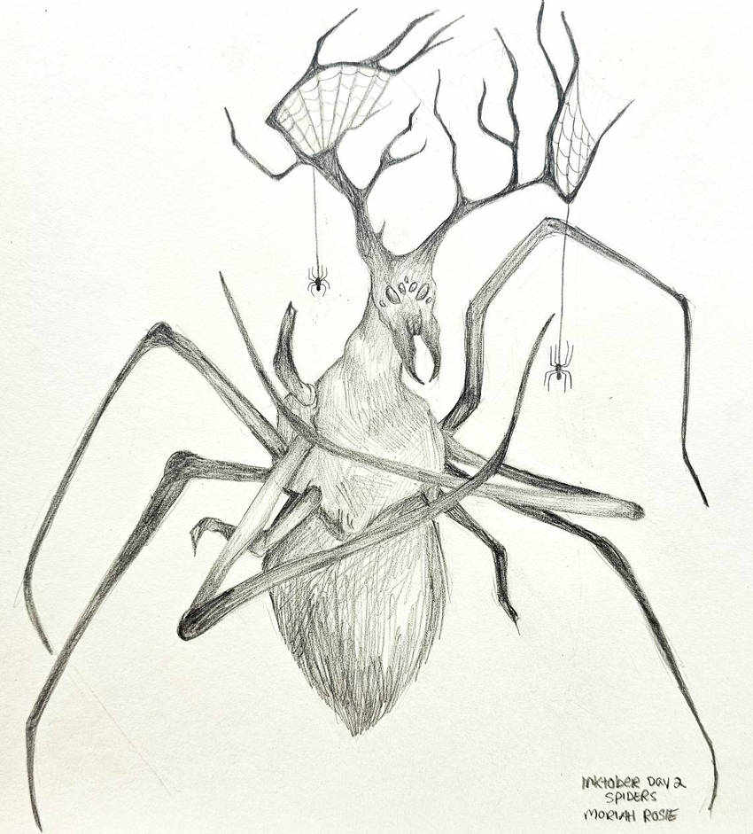 Deviantart Spider Spiders by MoriahRosie on DeviantArt