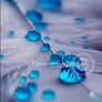 Blue Drops