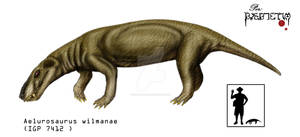 1 Aelurosaurus wilmanae