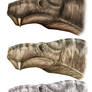 2 Aelurognathus tigriceps head