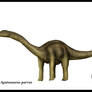 Apatosaurus parvus