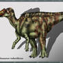 Aralosaurus tuberiferus