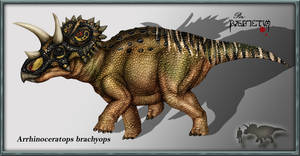 Arrhinoceratops brachyops